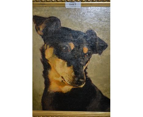 Framed oil, portrait of a Jack Russell, 11ins x 9.5ins