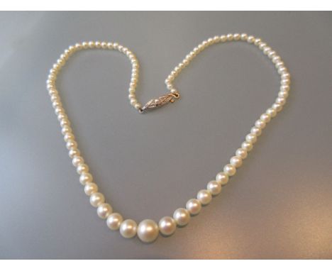 Single row graduated cultured pearl necklace with silver clasp