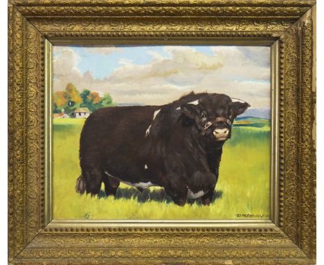 R FREEMAN, BULL RESTING oil on board 40cm x 50cm Framed