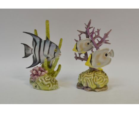 A Royal Worcester model, Four Eyed and Banded Butterfly Fish, designed and modelled by Ronald Van Ruyckevelt, before coral, 1