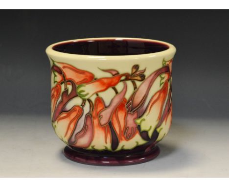 A contemporary Moorcroft planter, designed by Emma Bossons, with stylised dragons snaps and  foliage, in tones of red, and pu