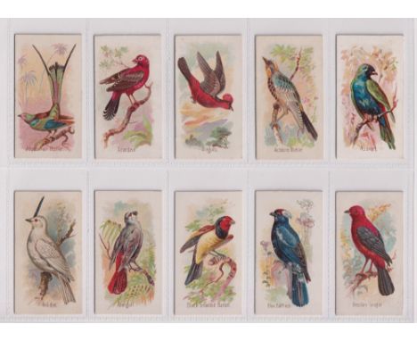 Cigarette cards, USA, Allen &amp; Ginter, Song Birds of the World, (set, 50 cards) (3 with some back damage and a few with li