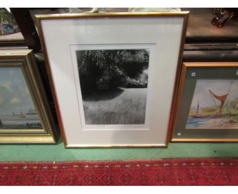 M. MATTHEWS: A limited edition print 1/1 entitled "Sub Rosa", pencil signed, gilt framed and glazed, 30cm x 23cm