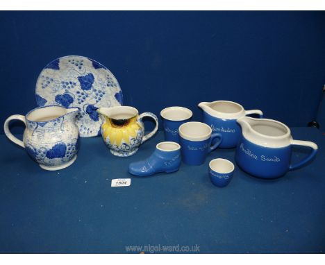 A quantity of Devonshire blue &amp; white pottery to include; two jugs, sugar bowl, cup, boot and egg cup (with place names e