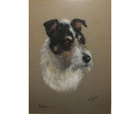DOROTHY S. HALLETT R.A. (act. 1913 - 1930).  A portrait study of 'Ricky' the terrier, signed lower right, watercolour, framed