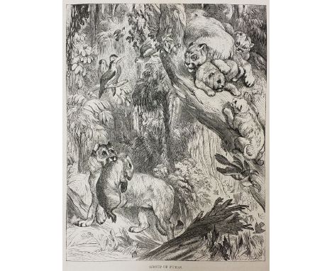 Wood (J. G.). The Illustrated Natural History, 3 volumes, London: Routledge, Warne, and Routledge, 1859, numerous black &amp;