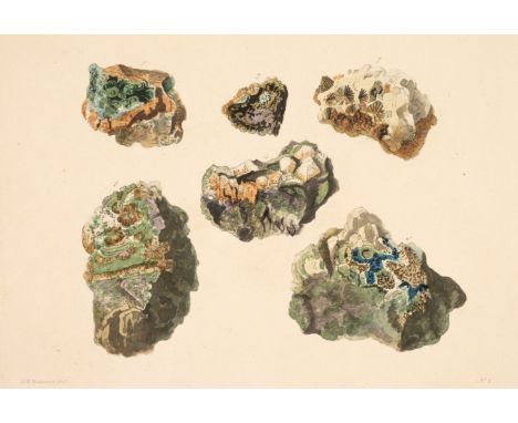 Rashleigh (Philip). Specimens of British Minerals, selected from the cabinet of Philip Rashleigh, of Menabilly, in the county