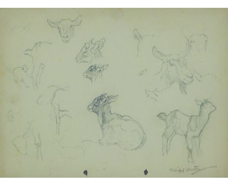 AUSTIN, WINIFRED (1876-1964) British (AR), Goats, pencil, signed. 23 x 31 cm.