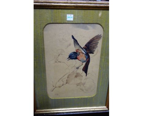 Edward Julius Detmold (1883-1957), Bird studies, a pair, watercolour, pen and ink, both signed with monogram and dated '06, e