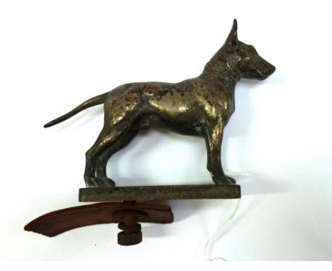 A formerly silver plated bronze car mascot, early 20th century, modelled and cast as a bull terrier on a rectangular base pla