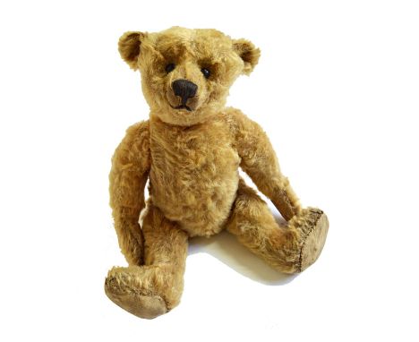 A Steiff teddy bear, circa 1910, with boot button eyes, hand stitched snout, plush golden fur, hump back, and jointed limbs, 