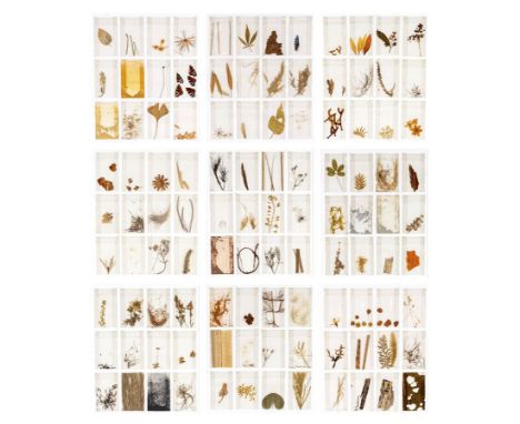 herman de vries (1931), 108x, the complete portfolio with nine cardboard sheets, each with 12 small cellophane bags containin