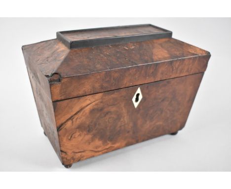 A 19th Century Burr Walnut Sarcophagus Shaped Tea Caddy for Restoration, Bone Escutcheon, 23cms Wide 