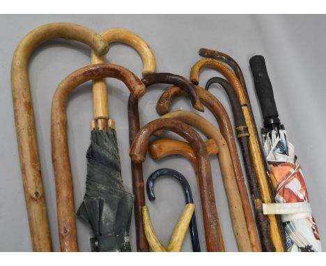 A Collection of Vintage Walking Sticks and Umbrellas 
