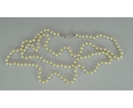 A LONG STRAND OF MIKIMOTO CULTURED PEARLS of uniform shape, approx 100-120 pearls total, white metal clasp with 'M' logo, 120