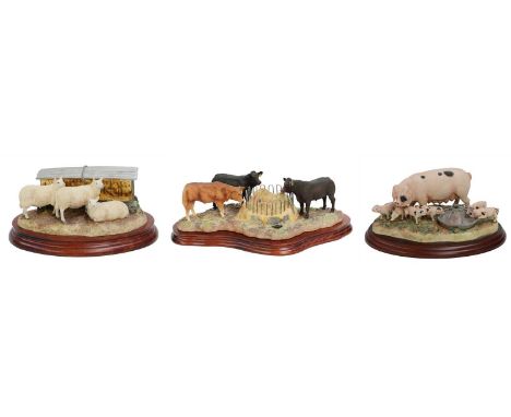 Border Fine Arts 'Winter Rations' - First Version - (Three quarter Limousin Cross Steers), model No. B0581 by Kirsty Armstron