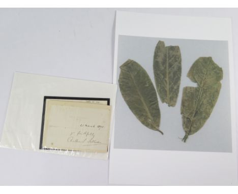 Arthur S. Sullivan - a mounted autograph with headed paper fragment, 47 Claverton Terrace, Pimlico S.W. 21 March 1870 Yours F