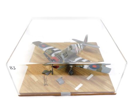 A diorama model of a Hawker Tempest, for JB131, 1:32 scale, in Perspex case, 22cm high, 51cm wide, 51cm deep.
