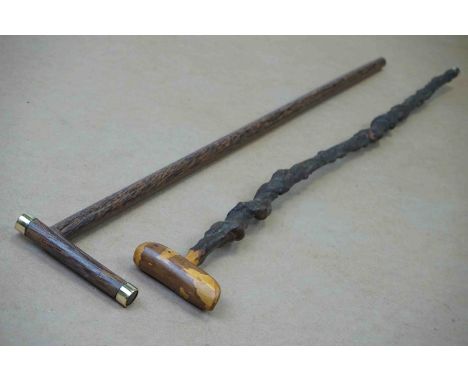 Knobbly Walking Stick together with another Walking Stick 
