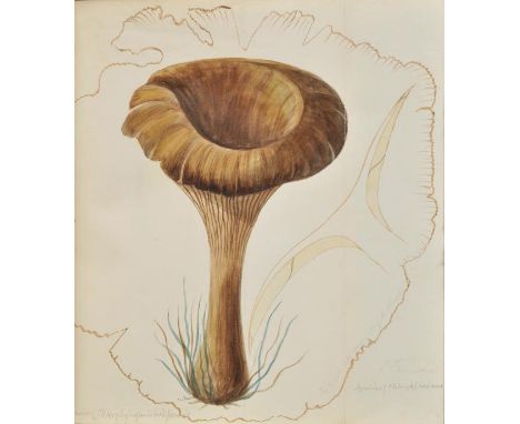 Attributed to James Buckman (1814-1884). A watercolour album of fungi,  a collection of sixty numbered leaves with watercolou