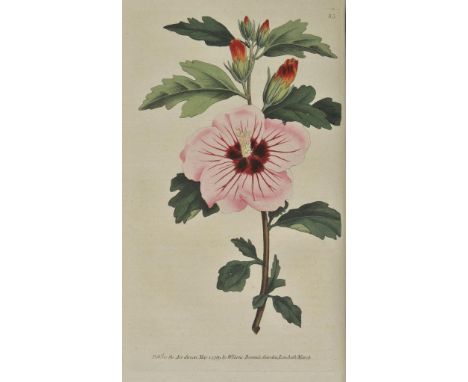 Curtis (William). The Botanical Magazine; or Flower Garden Displayed, 10 volumes, nos. 3, 5, 7, 9, 10, 12 [and] 14 - 17, 1792