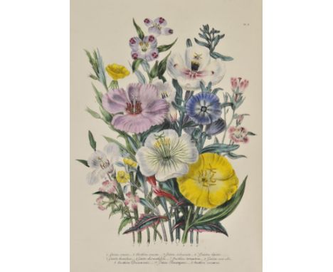 Loudon (Mrs. Jane). The Ladies' Flower-Garden of Ornamental Annuals, London: William Smith, 1844, title page and contents lis