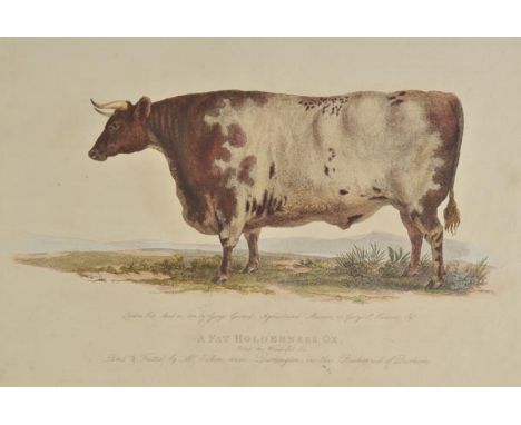 Garrard (George). A Description of the Different Varieties of Oxen Common in the British Isles; Embellished with Engravings; 