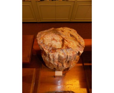 *Fossil tree trunk. A heavy and impressive piece left in its natural form to reveal the fossil bark structure, from the Trias