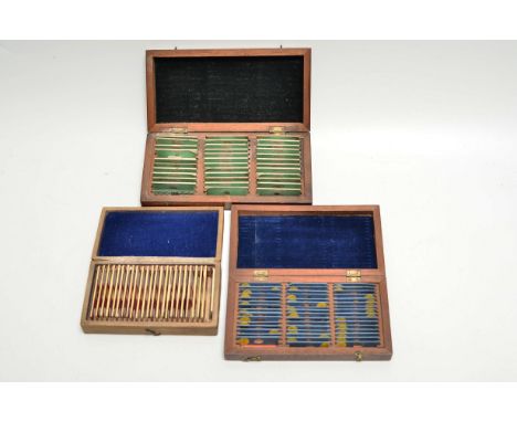 Mid-19th Century Small Paper-Covered Microscope Slides,  including Wing of Drone, Hair of Wolf, Scale of Herring, Rice Paper,