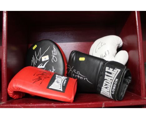 davina boxing gloves and pads