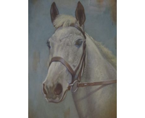 ERIC MEADE-KING, 'Flash', Portrait study of a grey Horse, watercolour, titled, 13 1/2 x 10 1/2in