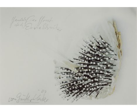 Günther Uecker (1930 Wendorf) (F)Ohne Titel, Farboffsetdruck auf Papier, 34,5 cm x 48 cm Blattmaß, signiert, 2000 datiert, ge