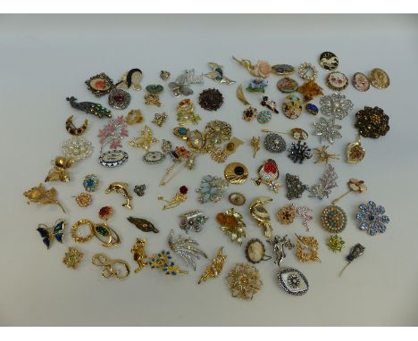 A collection of brooches including floral, butterfly, enamel, paste, animals, Masj etc 
