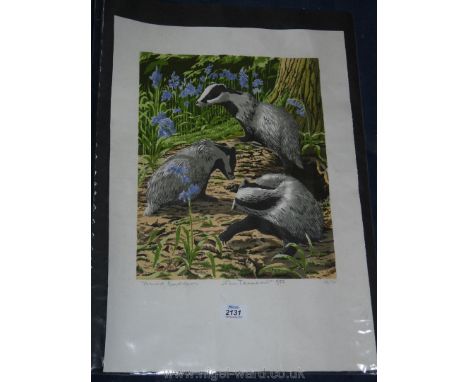 A John Tennant limited edition Print of Young Badgers.