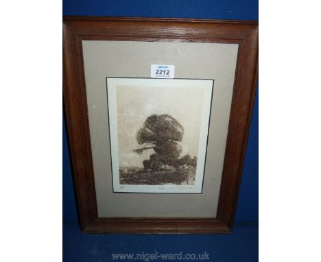 An artist proof Print signed in pencil, ''Elm at Twilight'', 41 cm x 31 cm