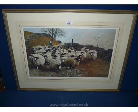 A framed and glazed limited edition Print of 'Sheep' by Pat Cleary. 30'' x 22''.
