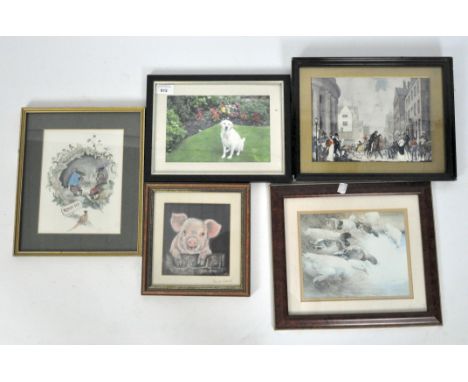 Five prints and pictures of animals, framed and glazed, largest 27cm x 34cm