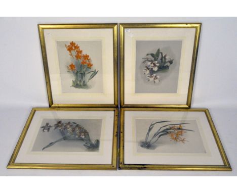 Four large floral prints, framed and glazed, framed 67cm x 57cm