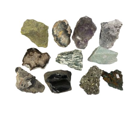 Collection of 11 Rock and Mineral specimens. To include: fossil wood (Arizona), Amethyst (Brazil), Obsidian, Amazonite, Malac