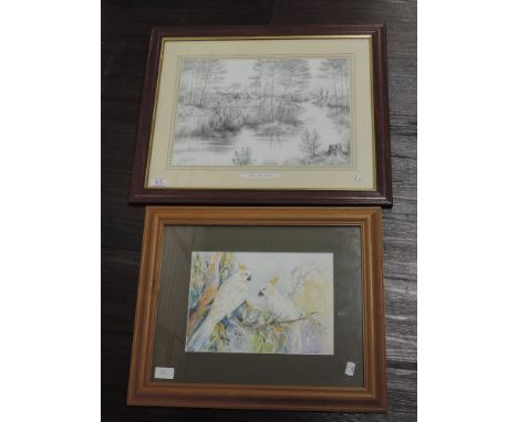 A watercolour, K Scally, parakeets, signed, 20 x 29cm, plus frame and glazed, and a print after Martin, Wetlands, 28 x 40cm, 