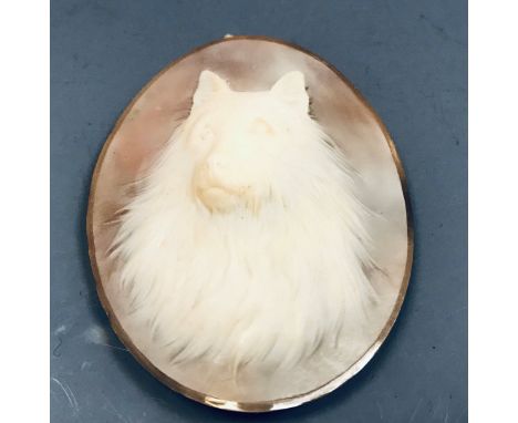 A late 19th Century carved oval cameo depicting the head of a collie type dog CONDITION REPORTS Approx. 4.9 x 3.9 cm.  Genera