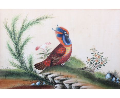Attributed to R AlexanderWindmill sceneWatercolour25 x 36cm Together with three further works depicting birds and flora (4)