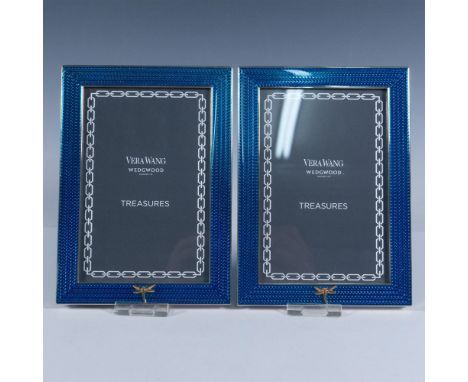 These gorgeous frames have silver rims, metallic teal front with gold-toned dragonfly decoration. The back is with light blue