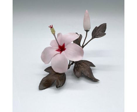 A blush-pink tropical flower. The hibiscus is beautifully eye catching over the bronze leaves and stem. A pink hibiscus is a 