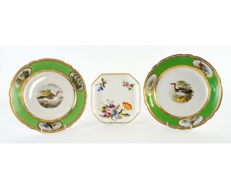 A PAIR OF SPODE APPLE GREEN GROUND ORNITHOLOGICAL PLATESCirca 1815-20Each painted with panels of birds, titled in purple scri