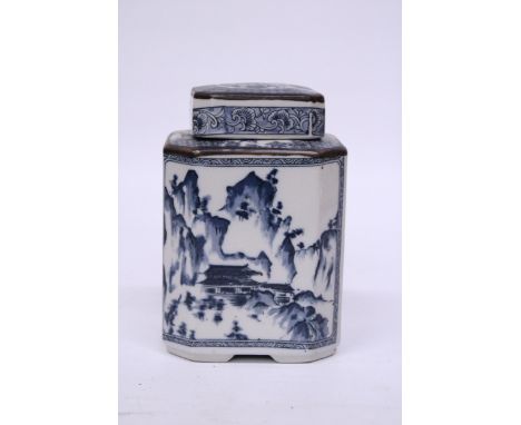 A JAPANESE HEXAGONAL TEA CADDY