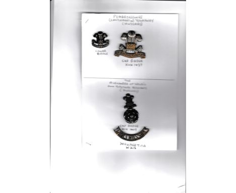 Pembrokeshire and Alexandra of Wales's Own Yorkshire Yeomanry (Hussars) Cap Badges with a Collar Badge and Shoulder Title. (B