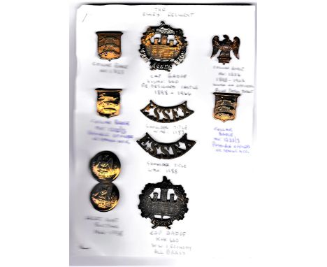 The Essex Regiment Badge Collection on a Sheet including: Essex Regiment Cap Badges (Bi-metal and Brass Economy), Collar Badg