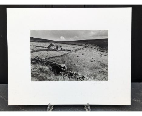 FAY GODWIN (PHOTOGRAPHER 1931-2005):&nbsp;'Calder Valley: Belted Galloways, Grimsworth Dean': gelatin silver print, 22.5 x 15