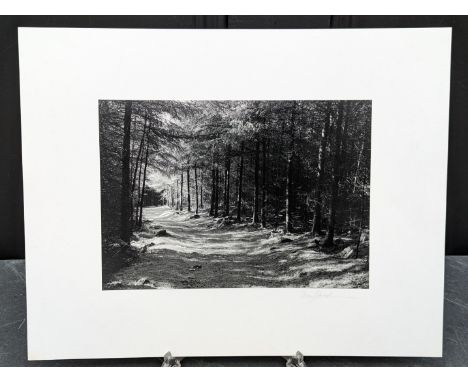 FAY GODWIN (PHOTOGRAPHER 1931-2005):&nbsp;'Wooded Path Above Llanfachreth': gelatin silver print, 16 x 23cm, mounted on card,